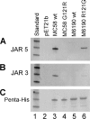 FIG. 5.