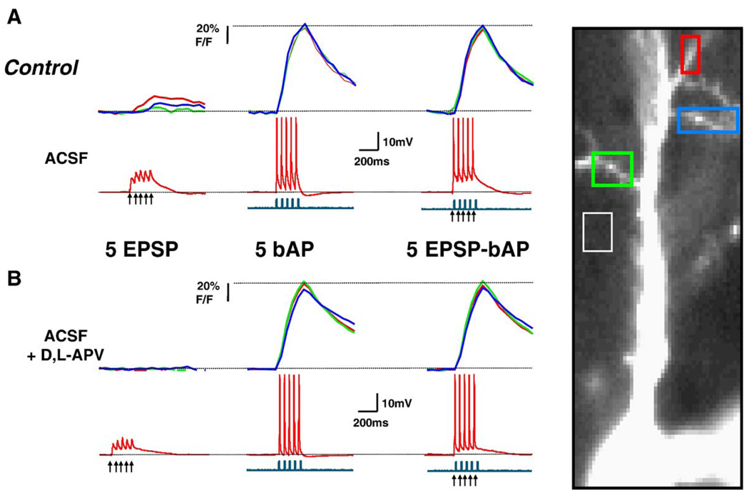 Fig. 2