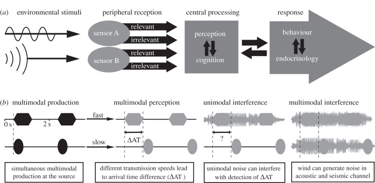 Figure 1.