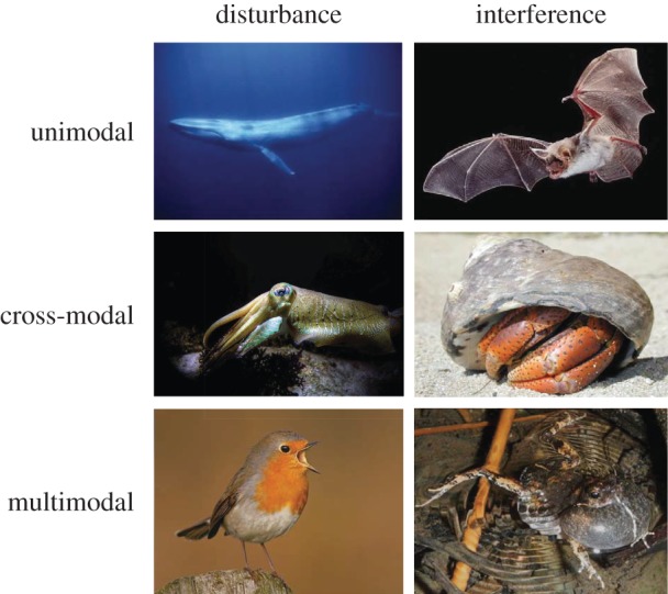 Figure 2.