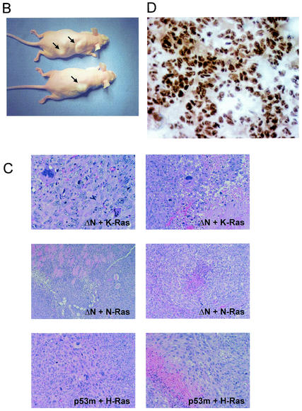 FIG. 7.