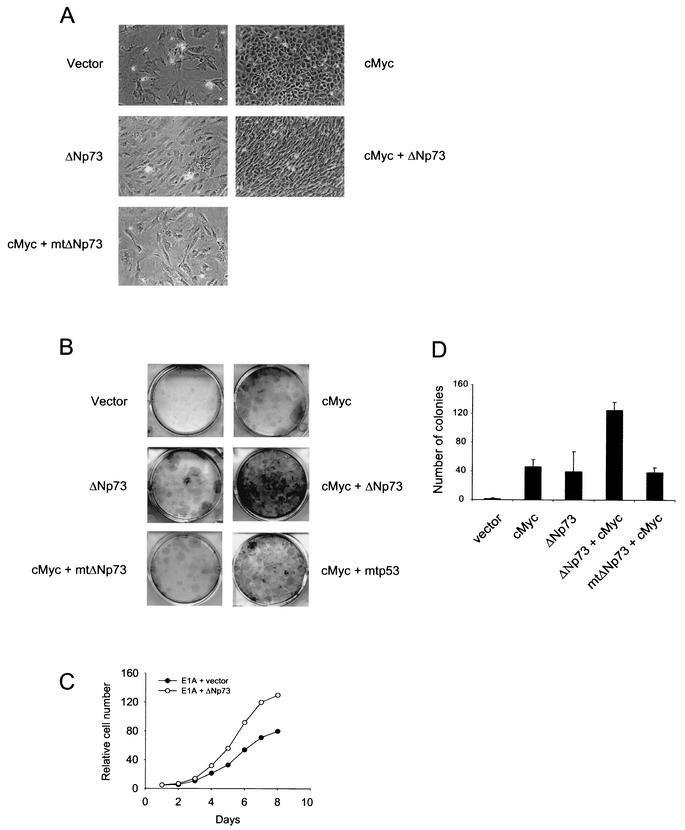 FIG. 5.