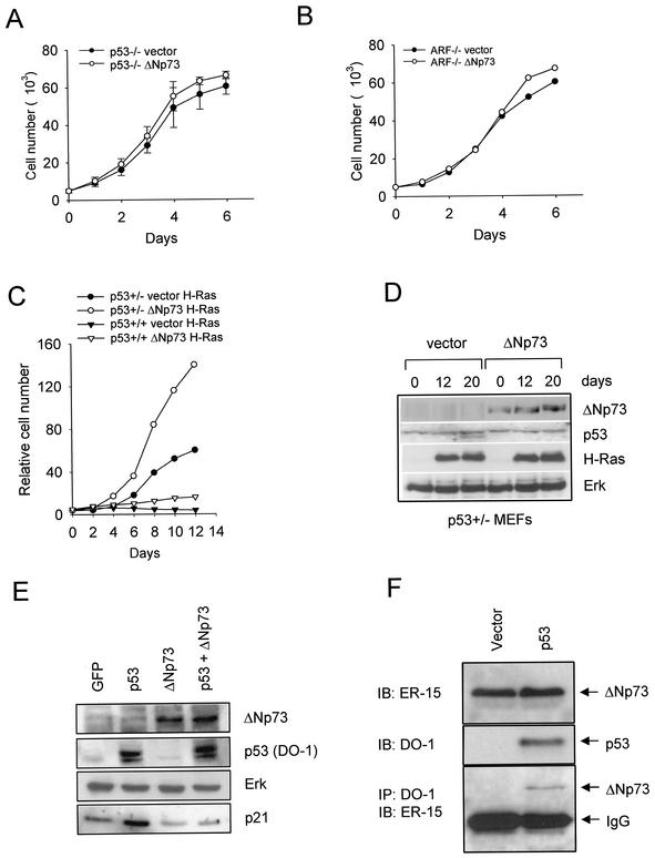 FIG. 8.