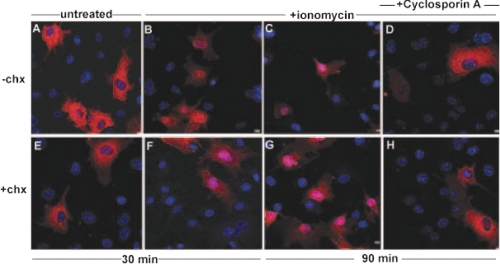 FIGURE 7.