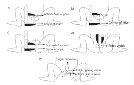 Figures 1