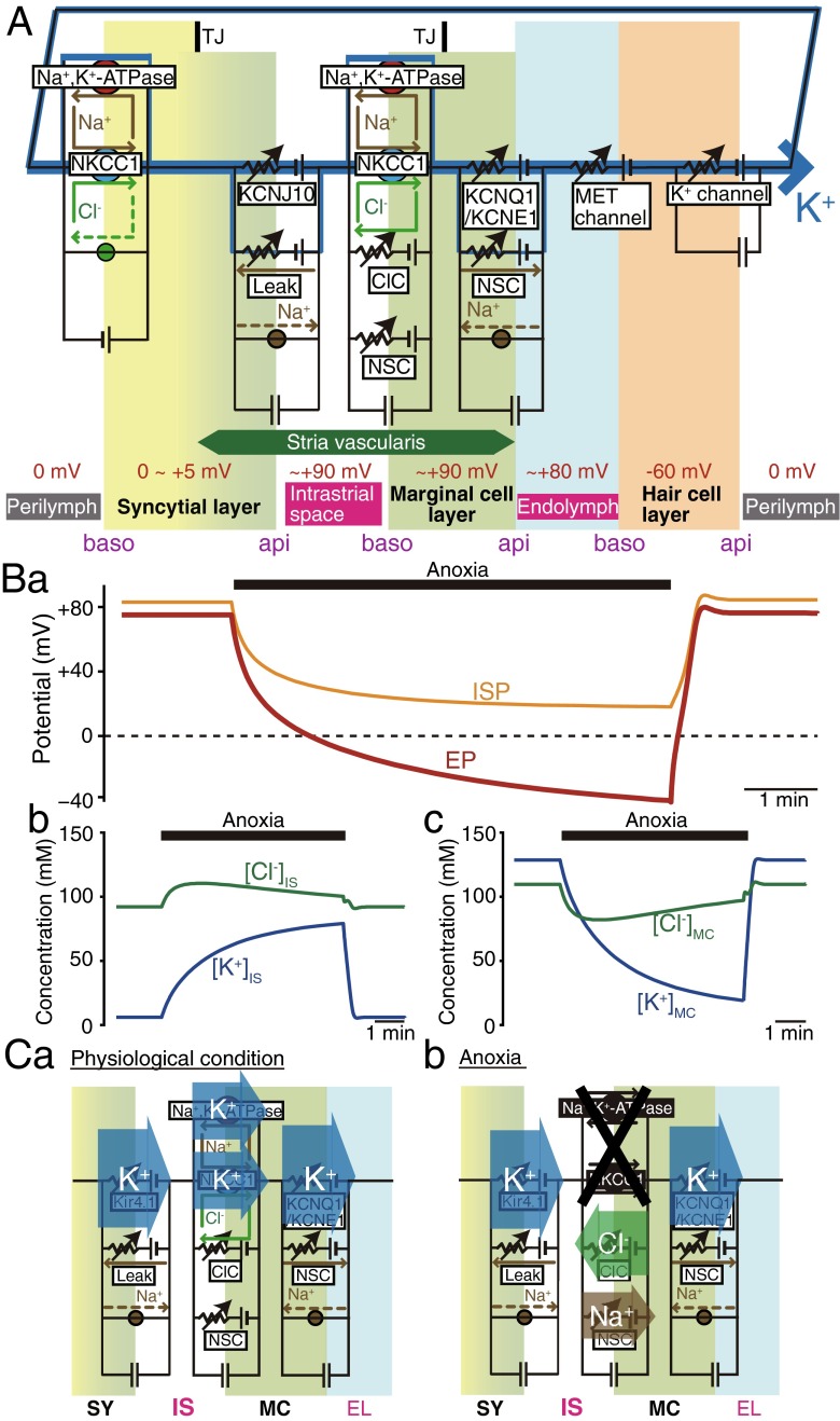 Fig. 4