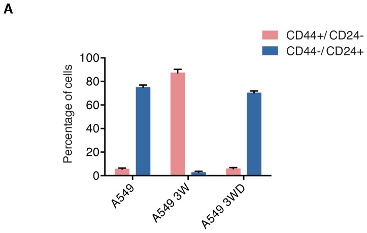 Figure 7—figure supplement 1.