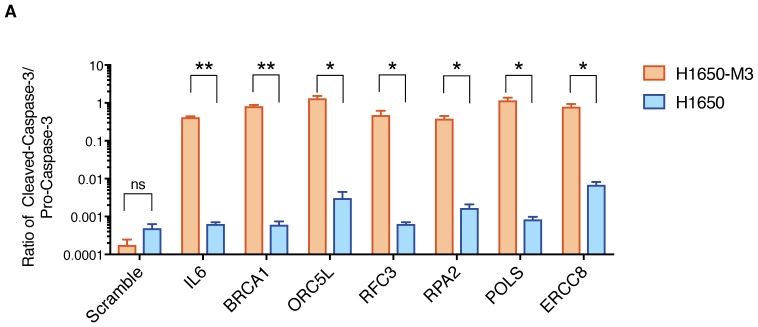 Figure 1—figure supplement 5.