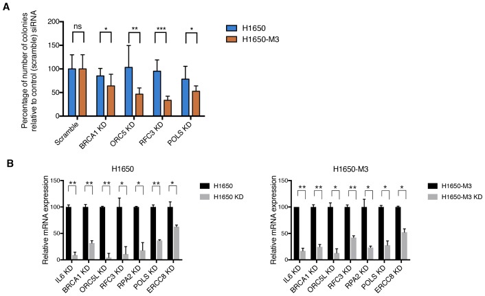 Figure 1—figure supplement 6.