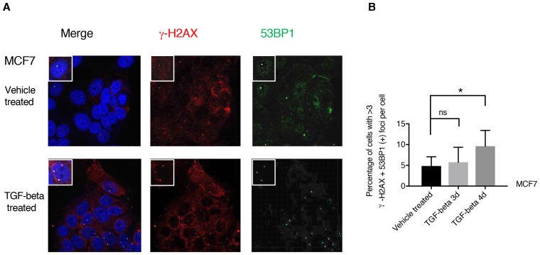 Figure 4—figure supplement 1.