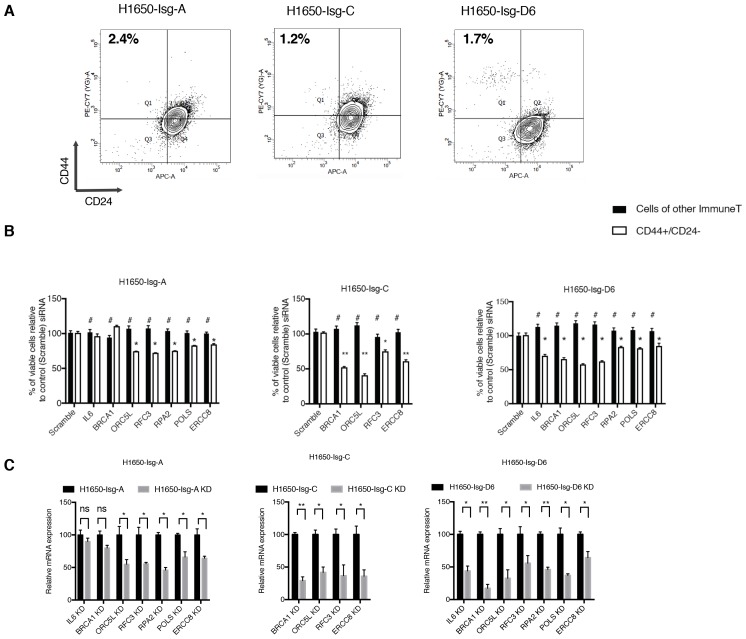 Figure 1—figure supplement 4.