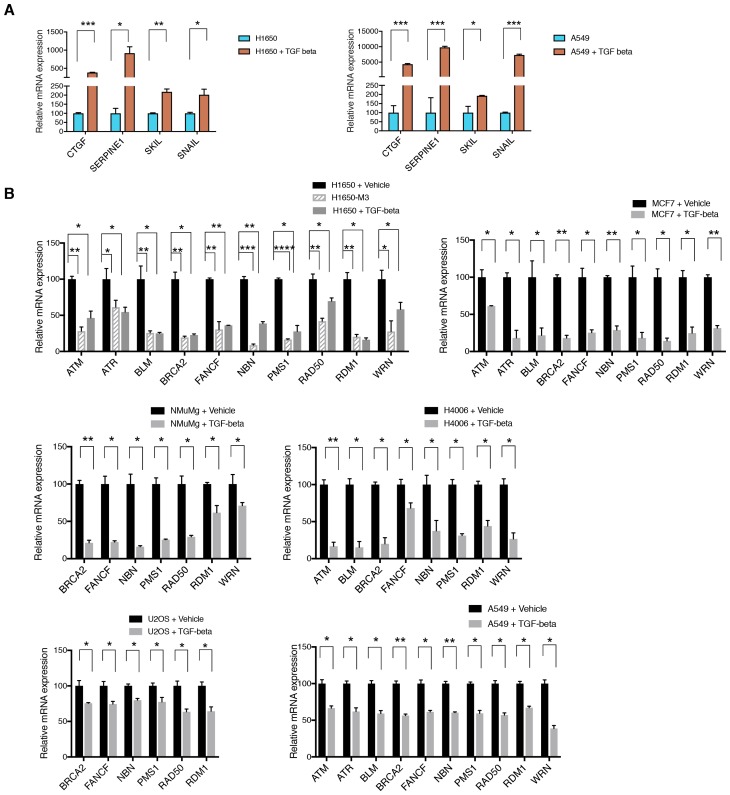 Figure 3—figure supplement 2.