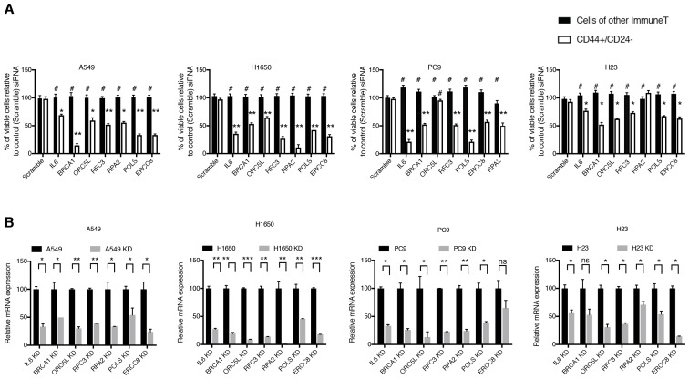 Figure 1—figure supplement 3.