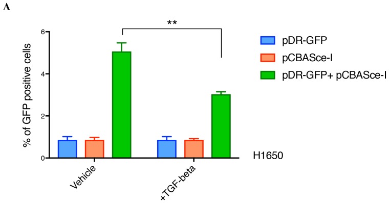 Figure 4—figure supplement 2.