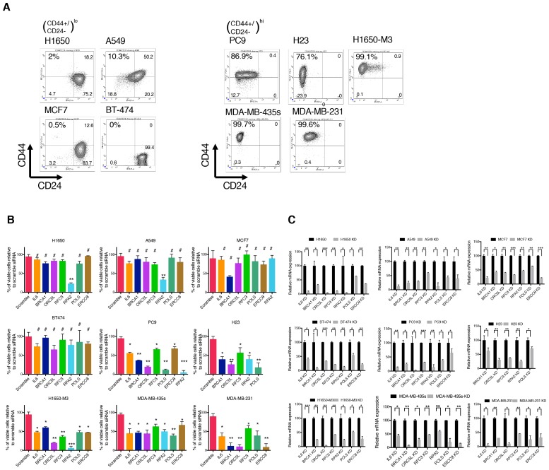 Figure 1—figure supplement 2.