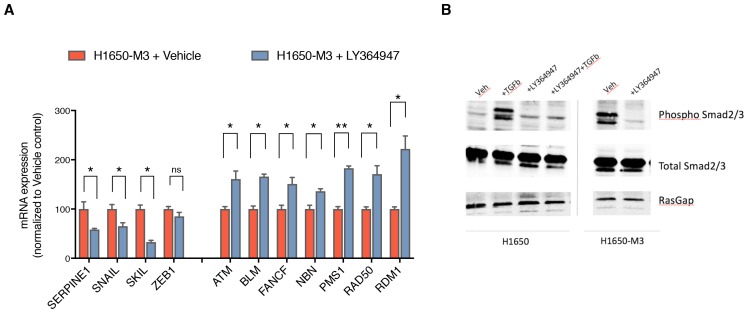 Figure 3—figure supplement 4.