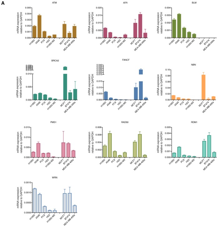 Figure 2—figure supplement 2.