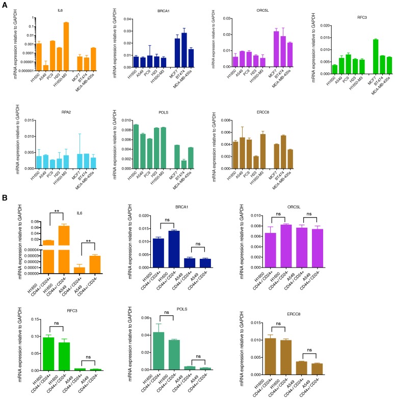 Figure 2—figure supplement 1.