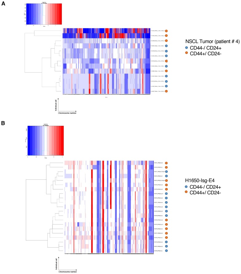 Figure 5—figure supplement 1.