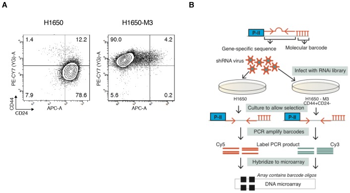 Figure 1—figure supplement 1.