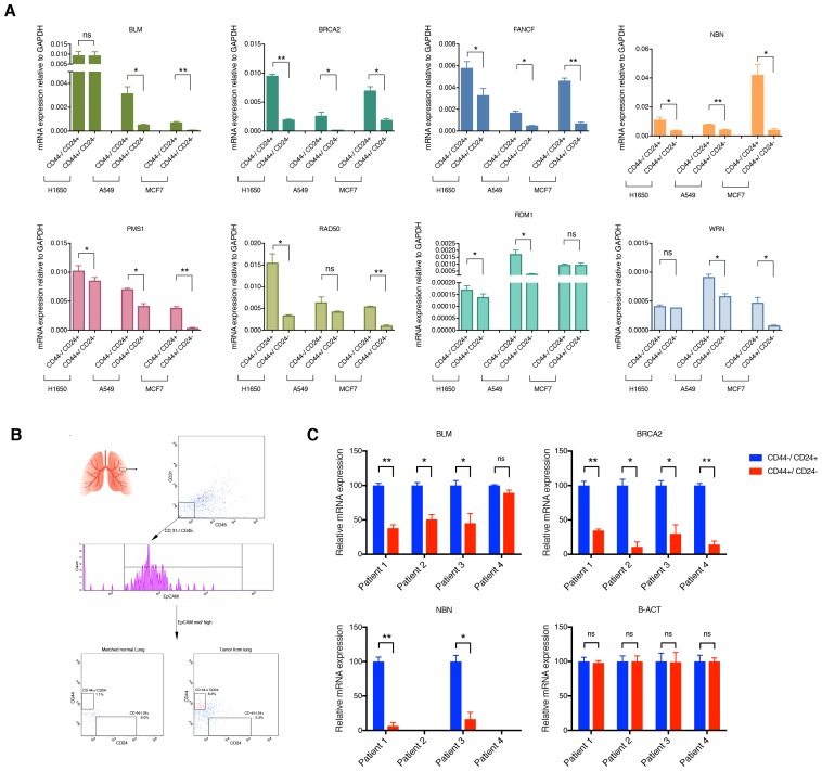 Figure 2—figure supplement 3.