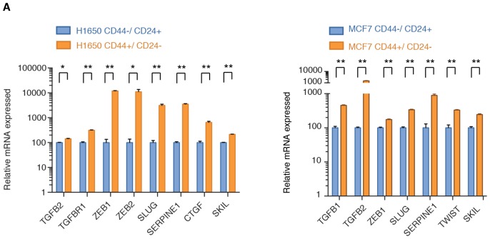 Figure 3—figure supplement 1.