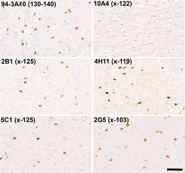 Fig. 10