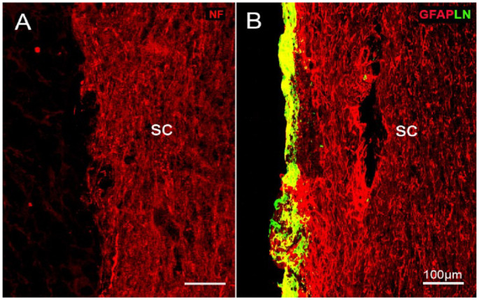 Figure 7.