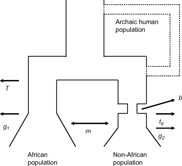 FIG. 1.—