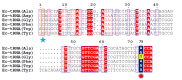 Figure 1—figure supplement 1.