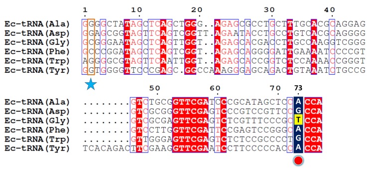 Figure 1—figure supplement 1.