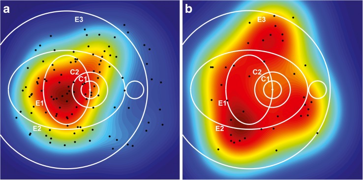 Fig. 3