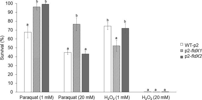 Fig 5