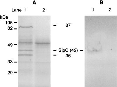 FIG. 9