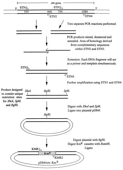 FIG. 1