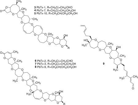 graphic file with name nihms-187009-f0001.jpg