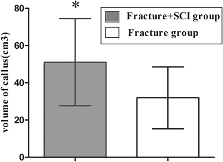 Figure 1 