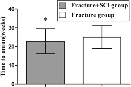 Figure 2 