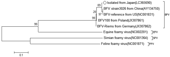 Fig. 5.