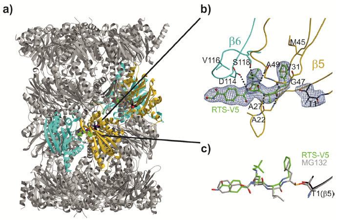 Figure 5.