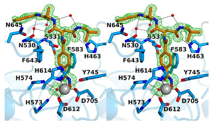 Figure 4.