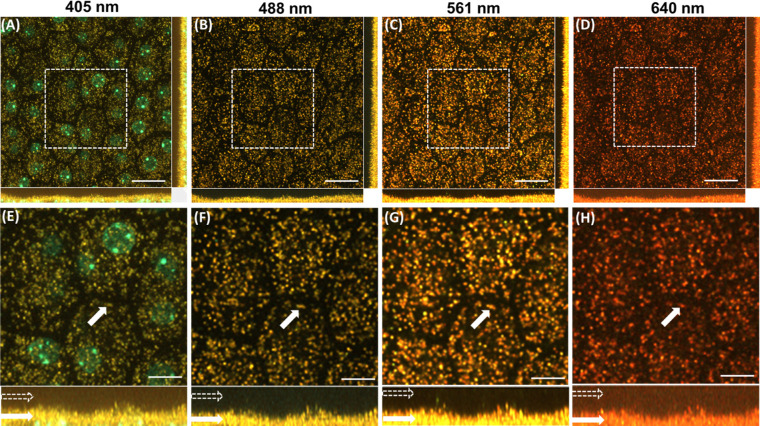 Figure 3.