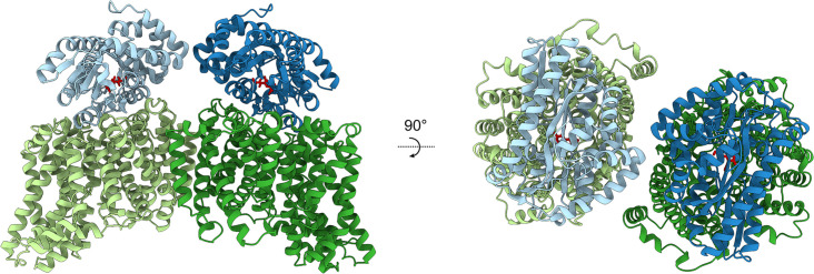 Figure 6—figure supplement 2.