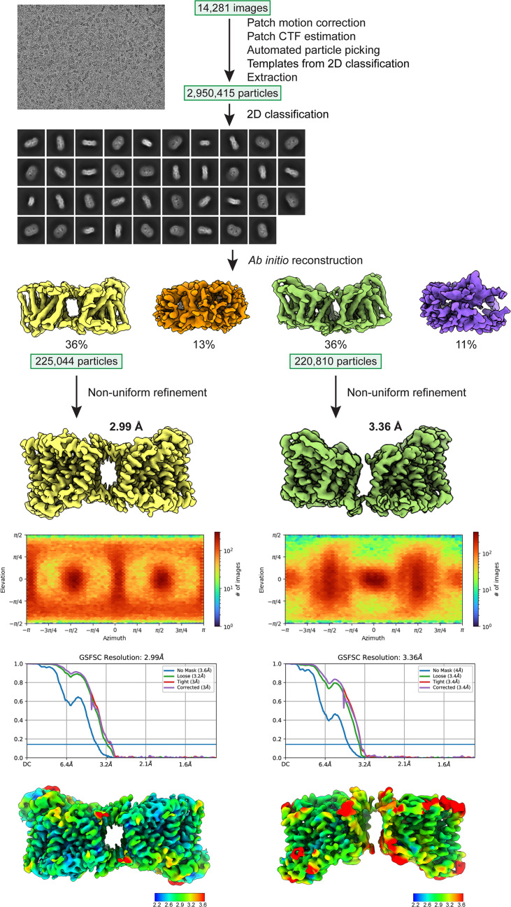 Figure 2—figure supplement 2.