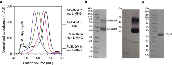 Figure 2—figure supplement 1.