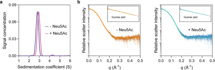 Figure 6—figure supplement 1.