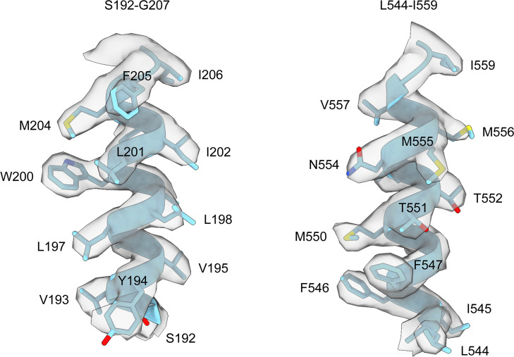 Figure 2—figure supplement 3.