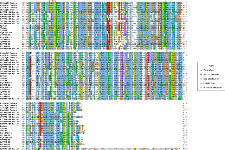 Figure 4—figure supplement 2.