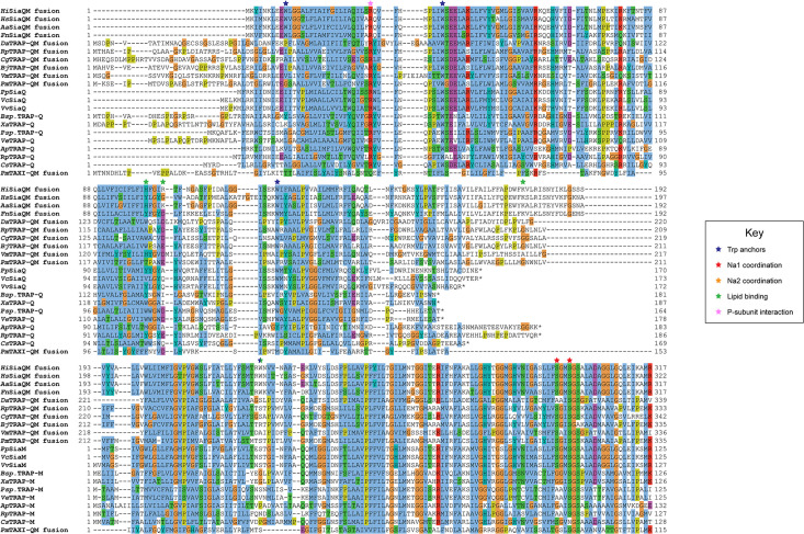 Figure 4—figure supplement 1.