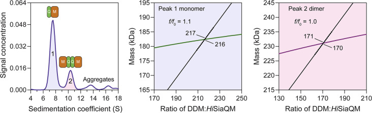 Figure 3—figure supplement 1.